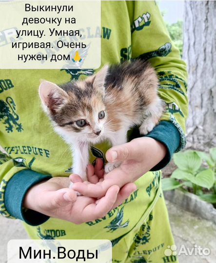 Малышка в дар