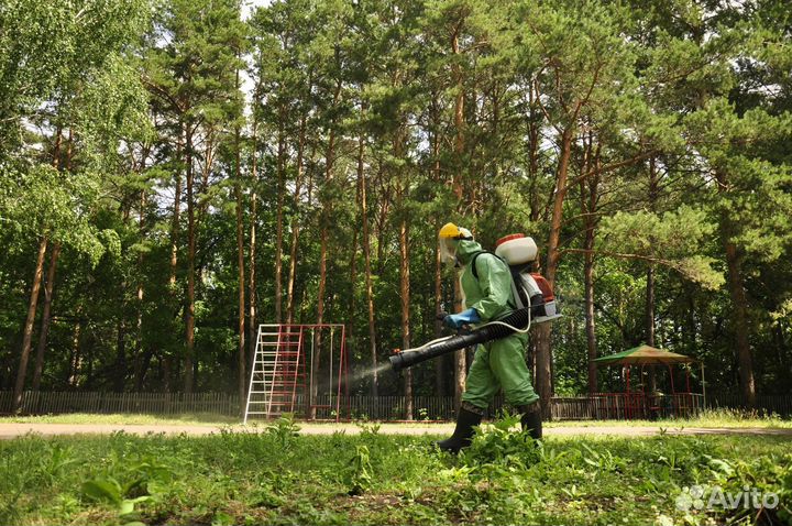 Уничтожение клещей комаров ос борщевика муравьёв