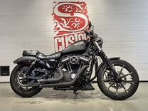 Harley Davidson Sportster 883, 15935 км, 2017