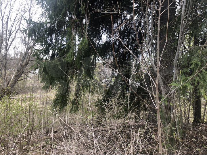 Участок 6 сот. (СНТ, ДНП)