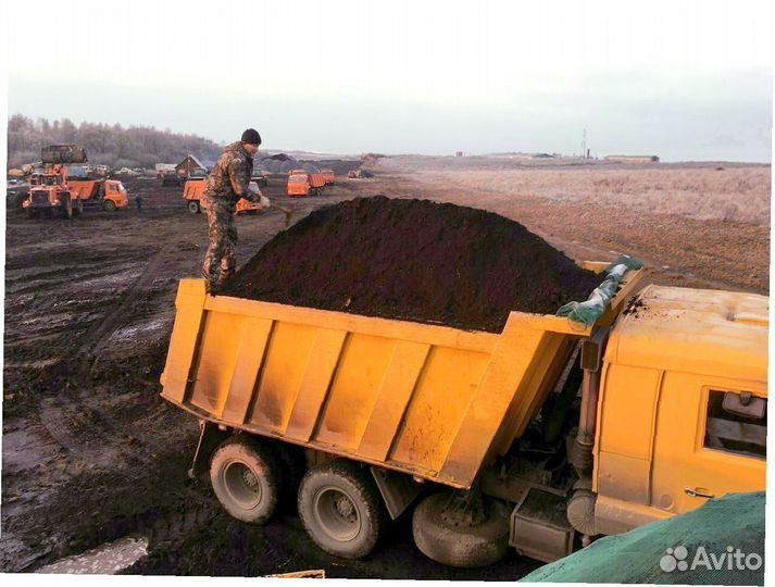 Плодородная земля