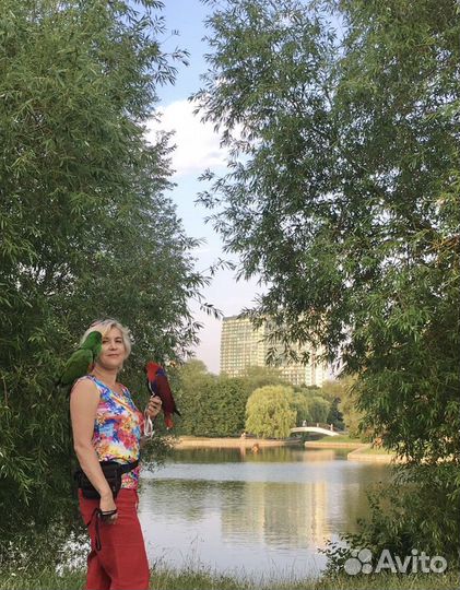 Аренда птиц для фотосессии