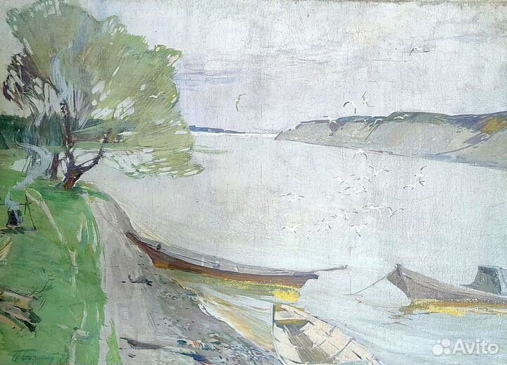 Чайки над Доном