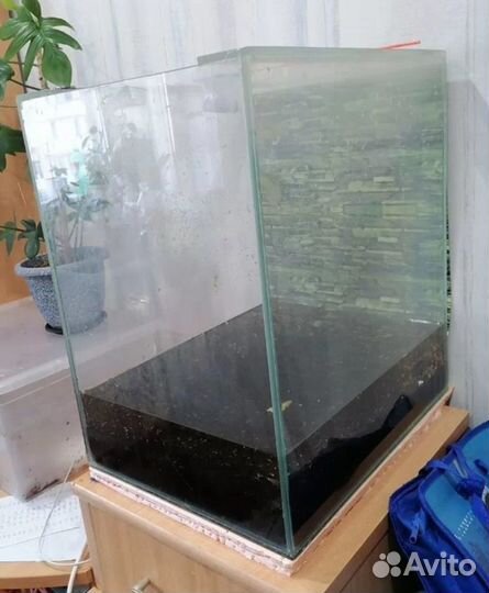 Золотые караси и карпы кои, аквариум и фильтр