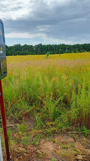 Участок 17 сот. (ИЖС)