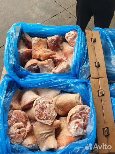 Голяшка свиная задняя, рулька свиная