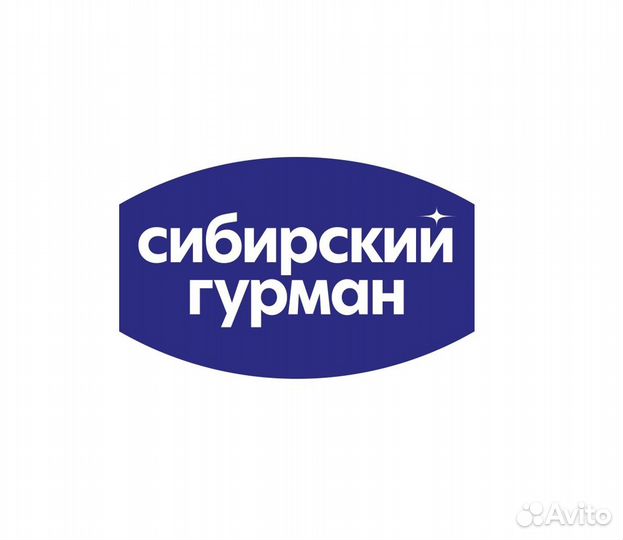 Механик цеха