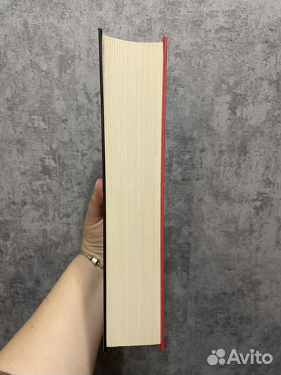 Книга «Тень горы»