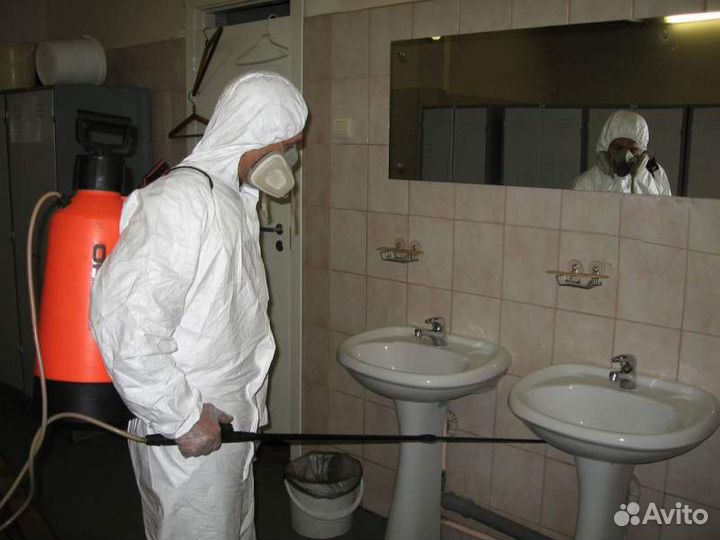 Дезинфекция