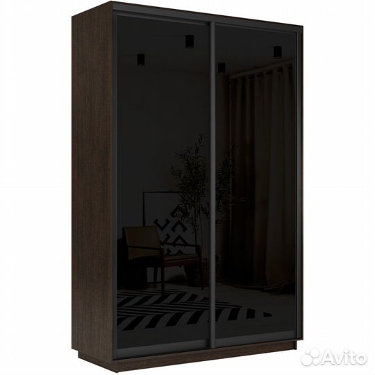 Шкаф-купе 2-дверный шкаф Оптим Двери Стекло Черное