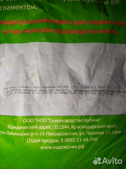 Семяной кукуруза