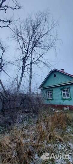 Очистка участков от деревьев, кустарников