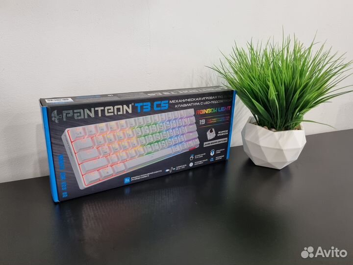 Новая механическая клавиатура Panteon T3 CS