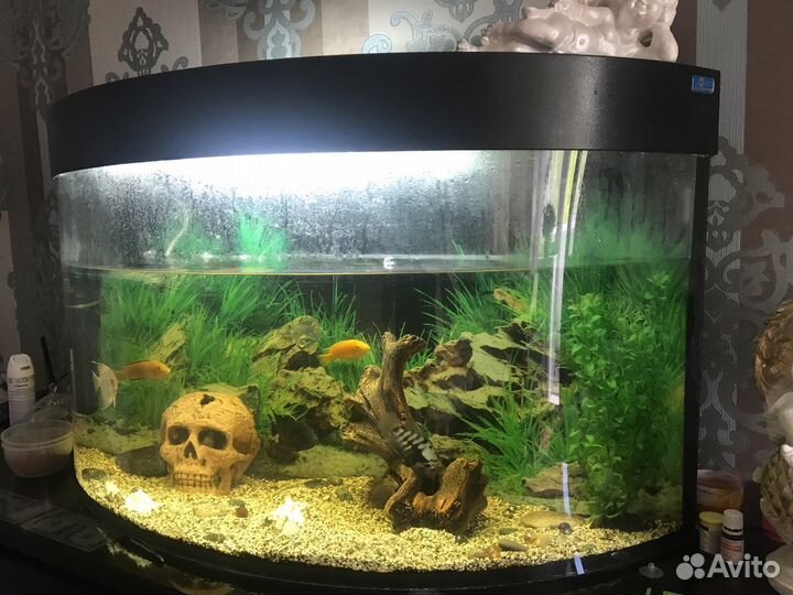 Аквариум