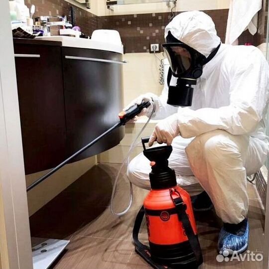 Средство для Уничтожения клопов травля тараканов дезинфекции