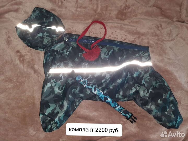 Комбинезоны на кокера, шапочки, ошейники