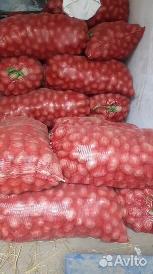 Продам картофель