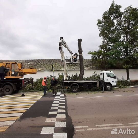 Спил и обрезка деревьев/Дробление веток и пней