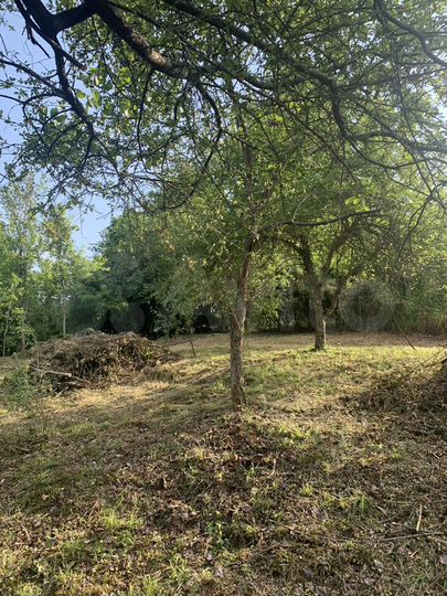 Участок 6 сот. (ИЖС)