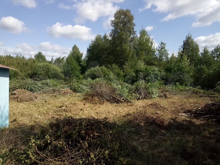 Участок 10 сот. (СНТ, ДНП)