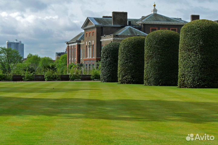 Продажа Рулонного газона, производитель