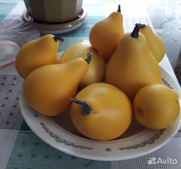 Семена: санберри, подсолнух, тыква-декор., томаты