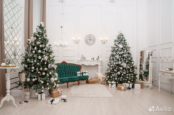 Новогодняя фотосессия Екатеринбург Фотостудия