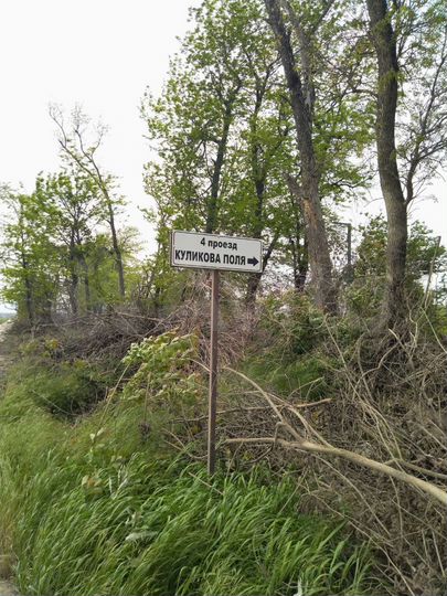 Участок 10 сот. (ИЖС)