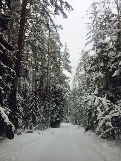 Участок 3,2 га (ИЖС)