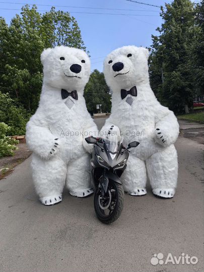 Надувные костюмы, мишка, чебурашка, панда