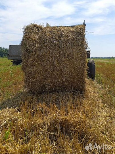 Солома в рулонах