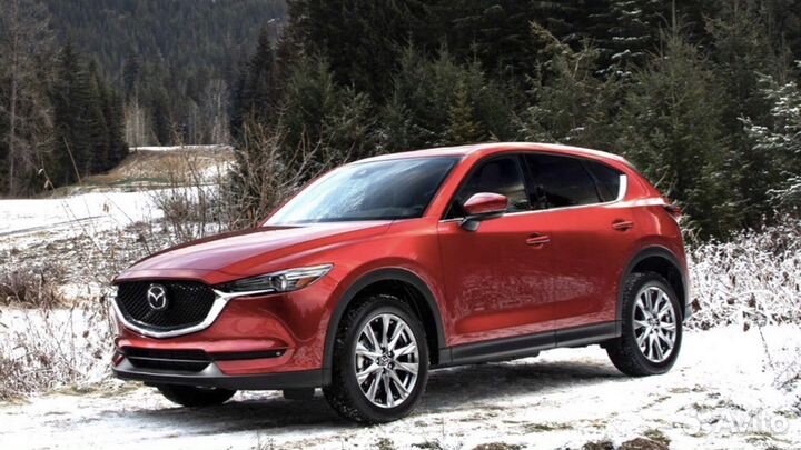 Трансфер,Грузия,Дагестан,Чечня,Краснодар,Крым