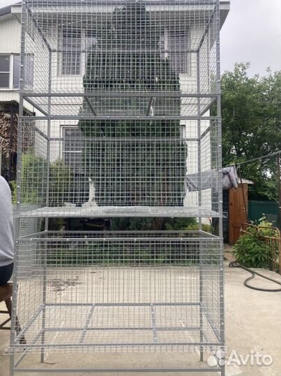 Клетка для кур несушек, бройлеров, кроликам и тд