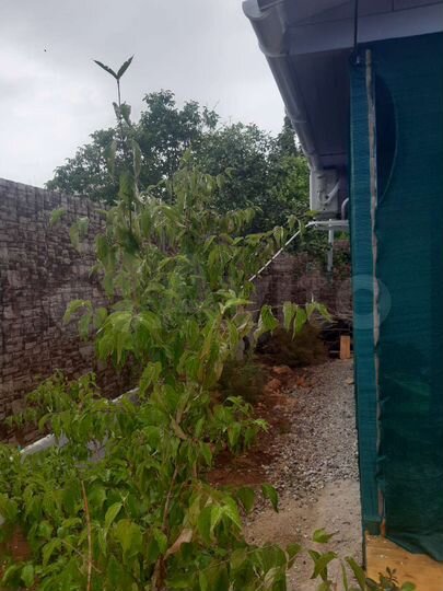 Участок 4,3 сот. (СНТ, ДНП)