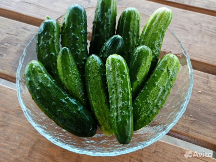 Огурцы свежие домашние