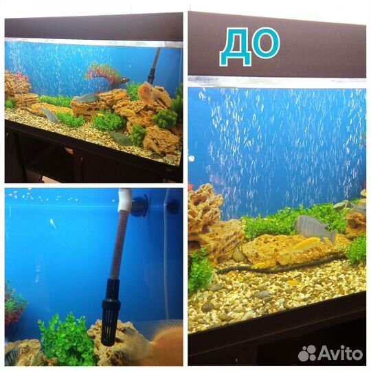 Чистка аквариума выезд