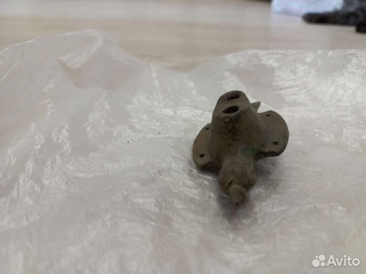 Конина хобби