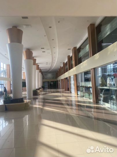 100 долей ооо «Гинза»