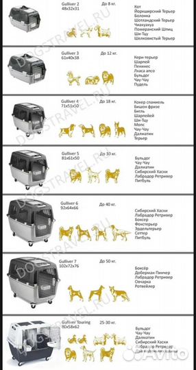 Аренда переноска/бокс/клетка Scudo для собак