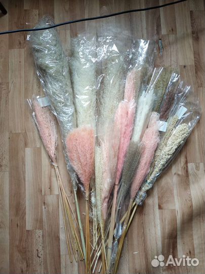 Остаток сухоцветы