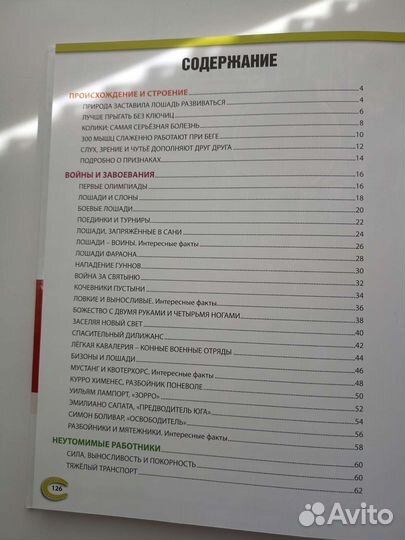 Детские книги, энциклопедия лошади