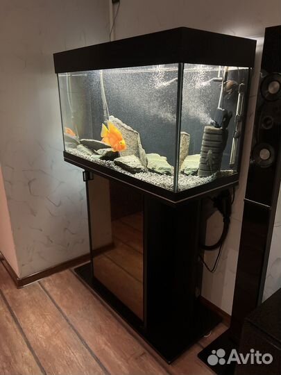 Аквариум с тумбой 150 литров