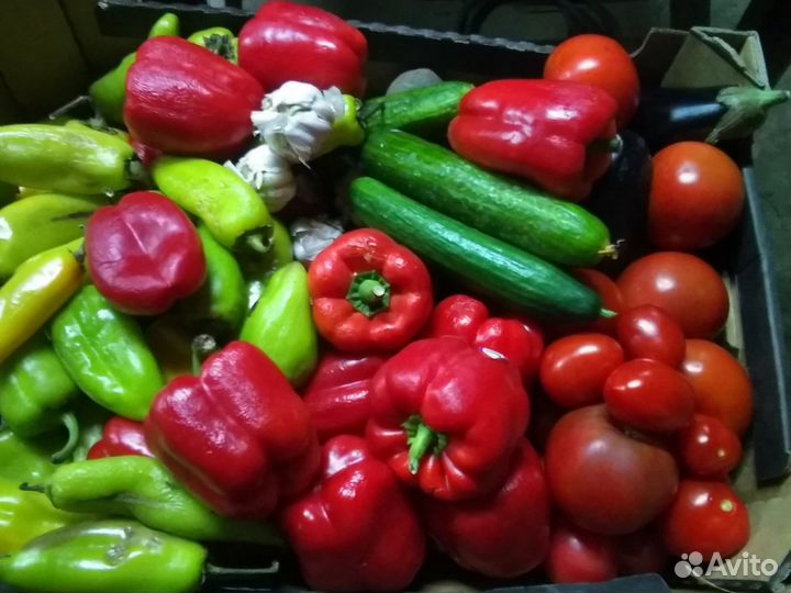 Продукты на корм животным