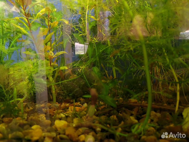 Аквариум с тумбой 390 литров