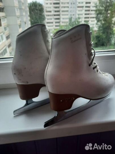 Коньки фигурные Edea overture 195