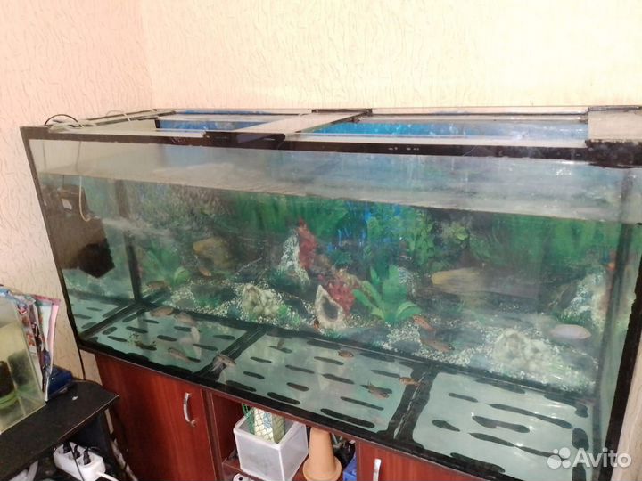 Аквариум