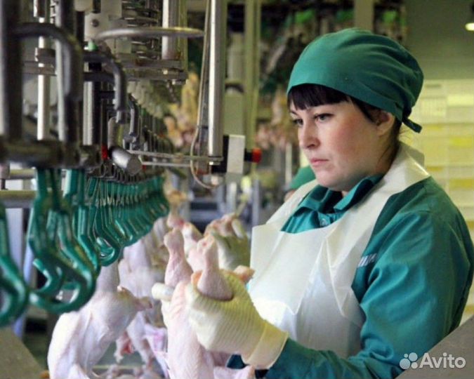 Упаковщики на птицефабрику вахта