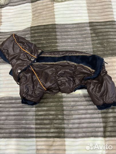 Комбинезон на маленькую собаку демисезон