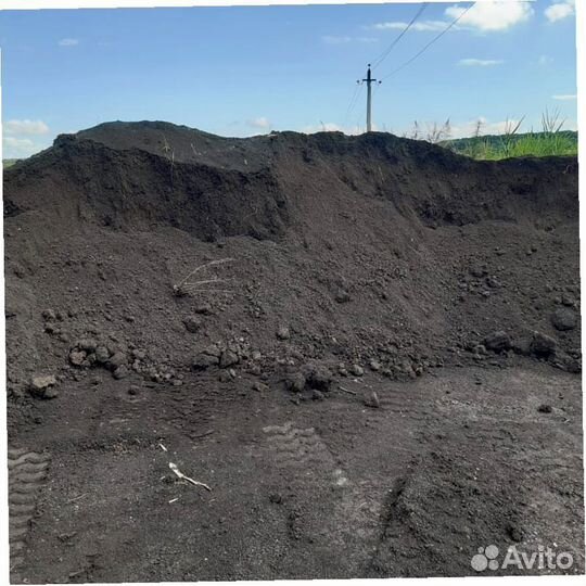 Чернозем