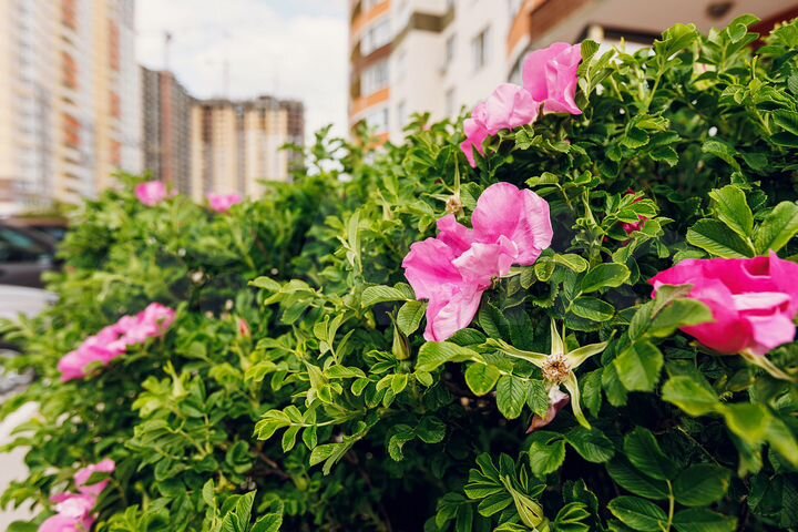 1-к. квартира, 45,7 м², 13/22 эт.